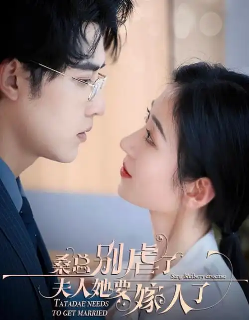 法官的女儿律政悬疑剧全集在线观看